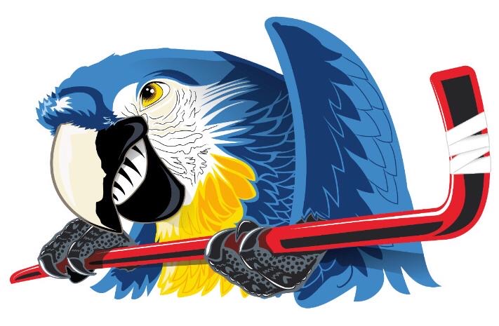 Venezuela Ice Hockey